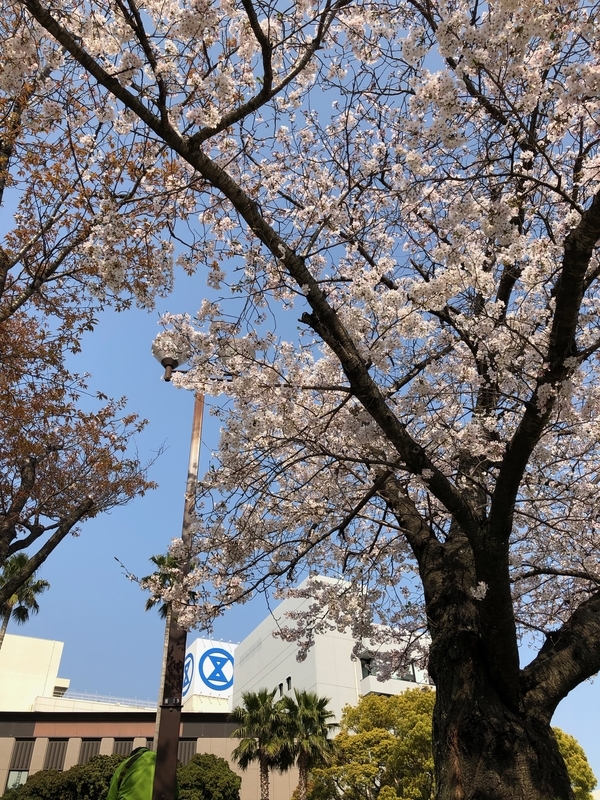 f:id:dachikusakun:20190407224021j:plain