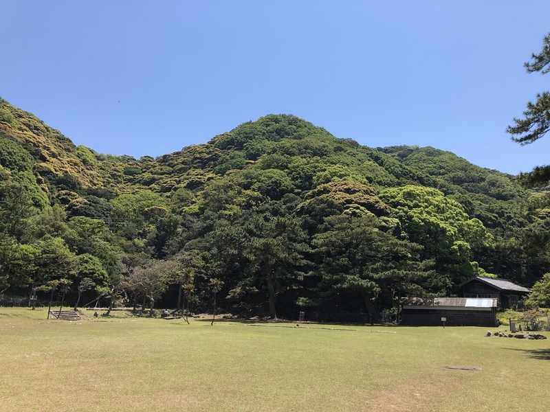 f:id:dachikusakun:20190512150613j:plain f:id:dachikusakun:20190512150613j:plain