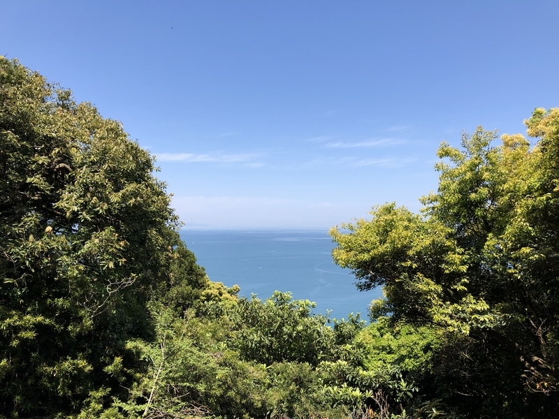 f:id:dachikusakun:20190512150614j:plain f:id:dachikusakun:20190512150614j:plain