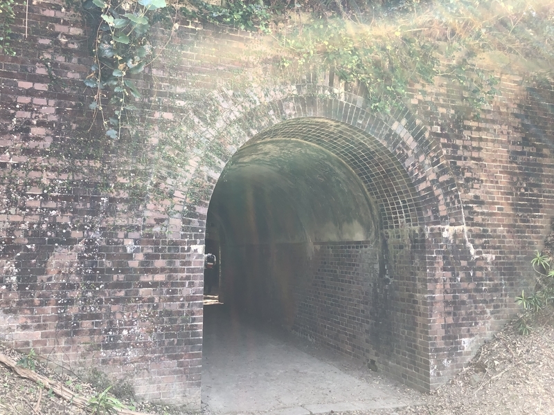 f:id:dachikusakun:20190512150619j:plain f:id:dachikusakun:20190512150619j:plain