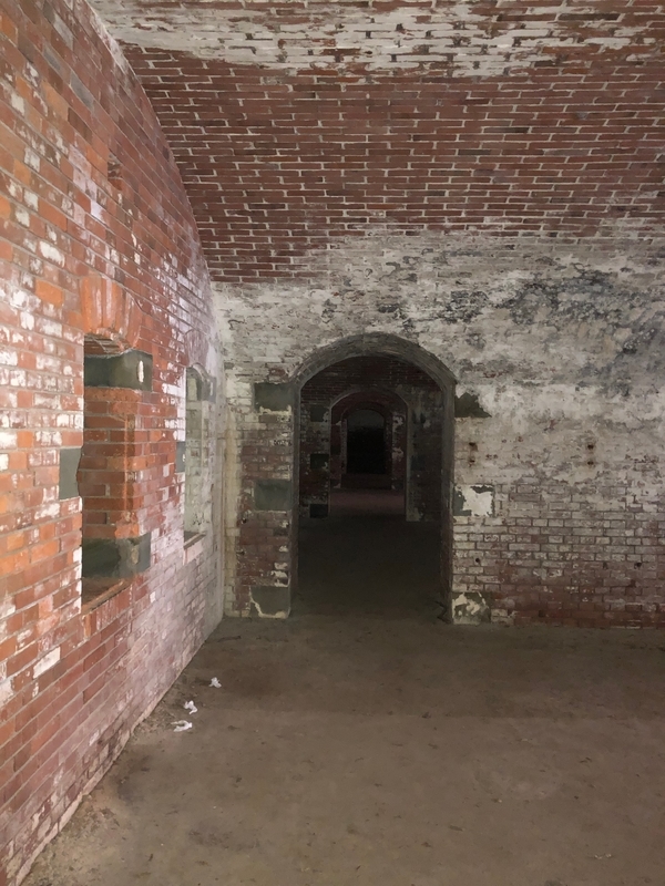 f:id:dachikusakun:20190512150621j:plain f:id:dachikusakun:20190512150621j:plain