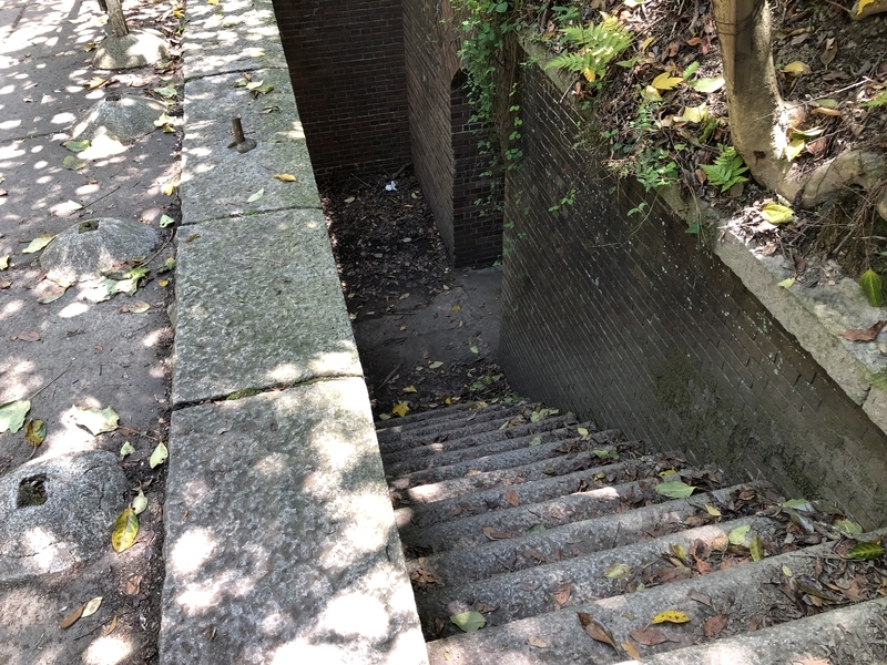 f:id:dachikusakun:20190512150623j:plain f:id:dachikusakun:20190512150623j:plain