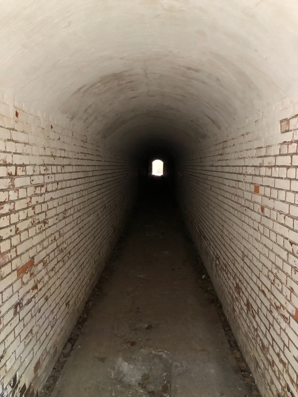 f:id:dachikusakun:20190512150624j:plain f:id:dachikusakun:20190512150624j:plain