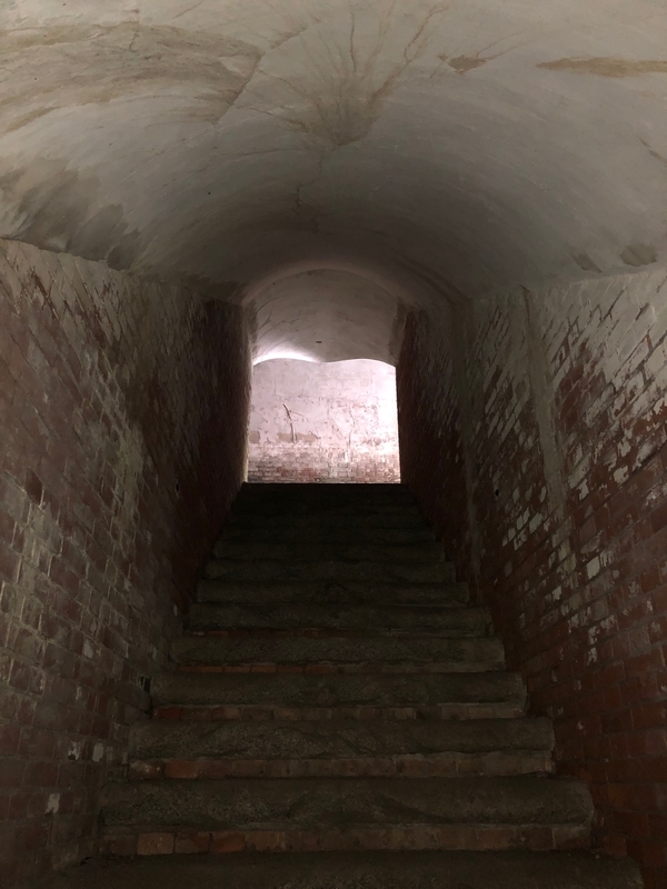 f:id:dachikusakun:20190512150625j:plain f:id:dachikusakun:20190512150625j:plain