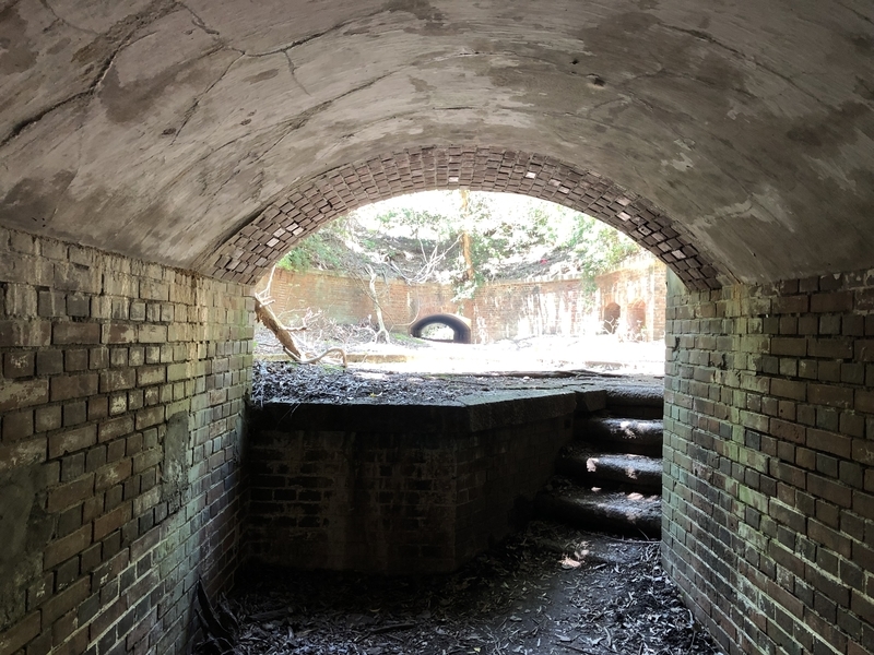 f:id:dachikusakun:20190512150627j:plain f:id:dachikusakun:20190512150627j:plain