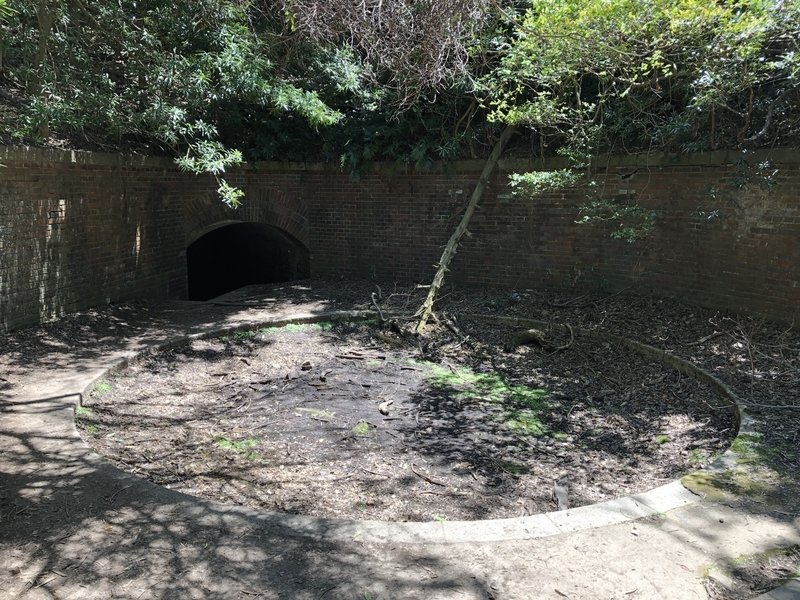 f:id:dachikusakun:20190512150629j:plain f:id:dachikusakun:20190512150629j:plain