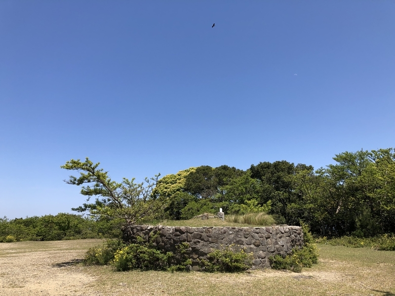 f:id:dachikusakun:20190512150630j:plain f:id:dachikusakun:20190512150630j:plain