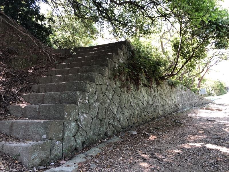 f:id:dachikusakun:20190512150638j:plain f:id:dachikusakun:20190512150638j:plain