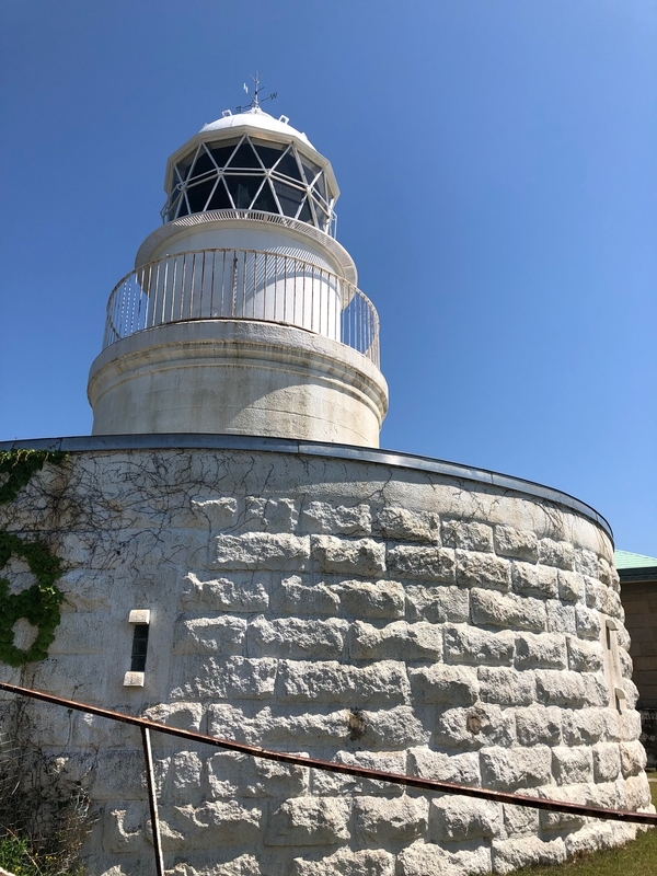 f:id:dachikusakun:20190512150641j:plain f:id:dachikusakun:20190512150641j:plain