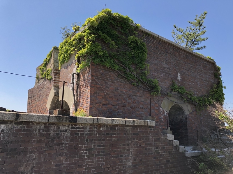 f:id:dachikusakun:20190512150647j:plain f:id:dachikusakun:20190512150647j:plain