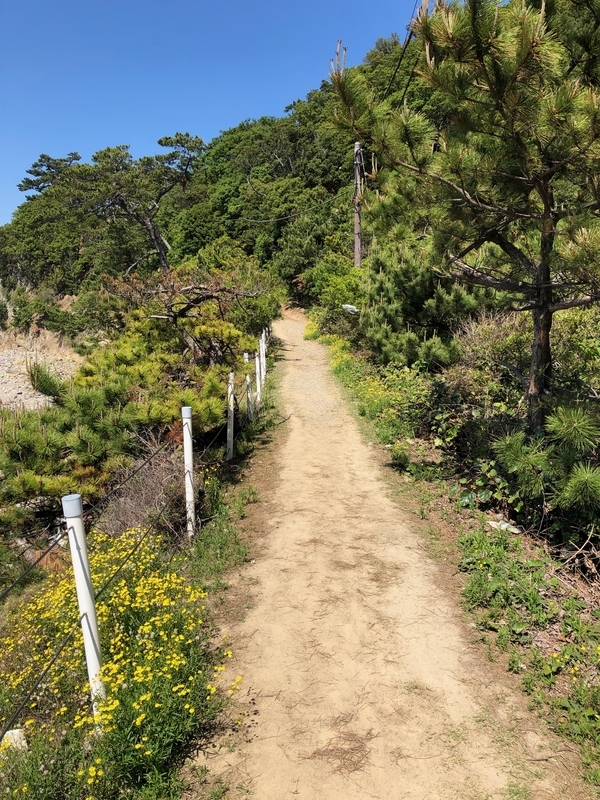 f:id:dachikusakun:20190512150652j:plain f:id:dachikusakun:20190512150652j:plain