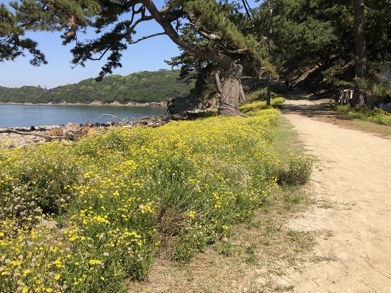 f:id:dachikusakun:20190512150653j:plain f:id:dachikusakun:20190512150653j:plain