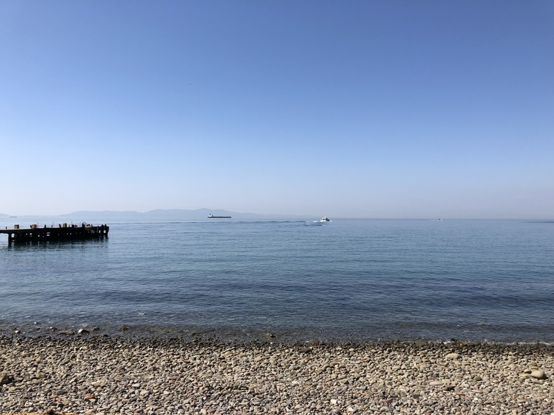 f:id:dachikusakun:20190512150654j:plain f:id:dachikusakun:20190512150654j:plain