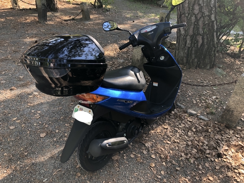 f:id:dachikusakun:20190512150700j:plain f:id:dachikusakun:20190512150700j:plain