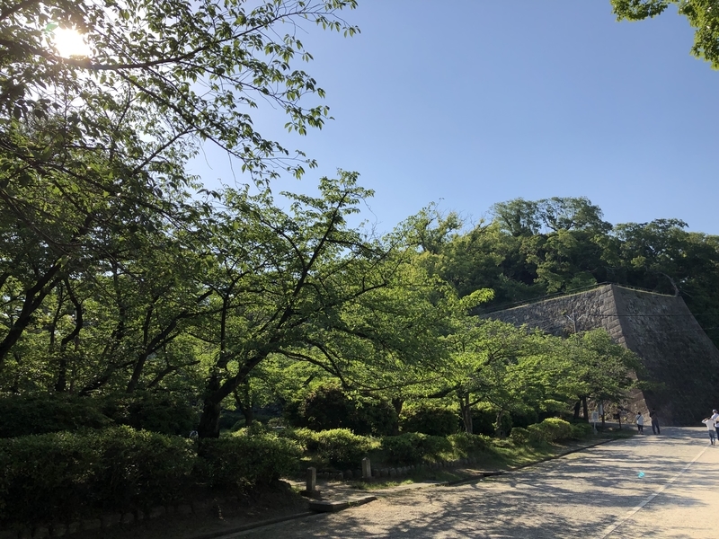 f:id:dachikusakun:20190512150702j:plain f:id:dachikusakun:20190512150702j:plain