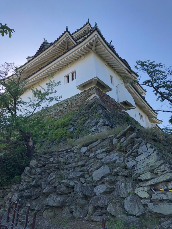 f:id:dachikusakun:20190512150704j:plain f:id:dachikusakun:20190512150704j:plain