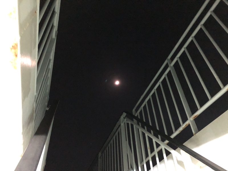 f:id:dachikusakun:20190512150716j:plain f:id:dachikusakun:20190512150716j:plain