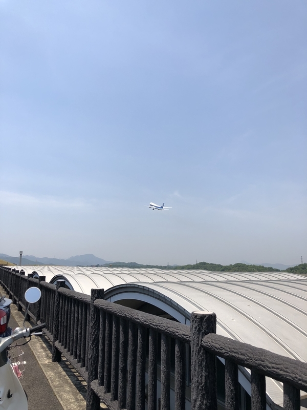 f:id:dachikusakun:20190526120944j:plain