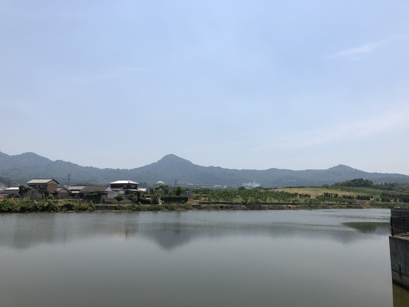 f:id:dachikusakun:20190526120945j:plain