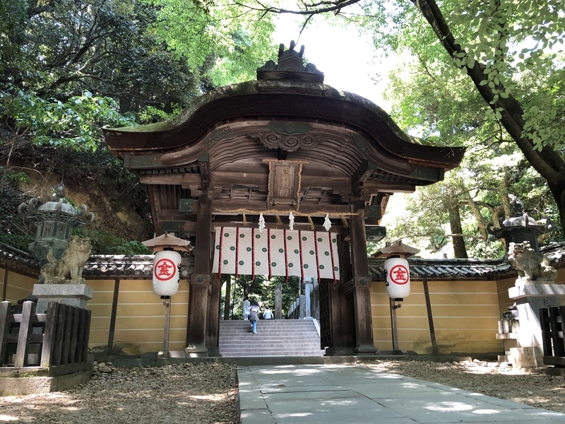 f:id:dachikusakun:20190526121004j:plain