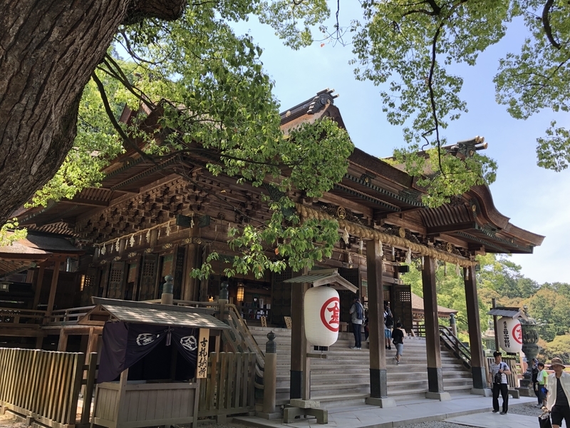 f:id:dachikusakun:20190526121008j:plain
