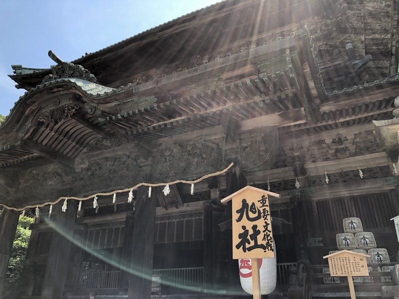 f:id:dachikusakun:20190526121013j:plain