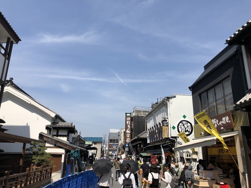 f:id:dachikusakun:20190526121014j:plain