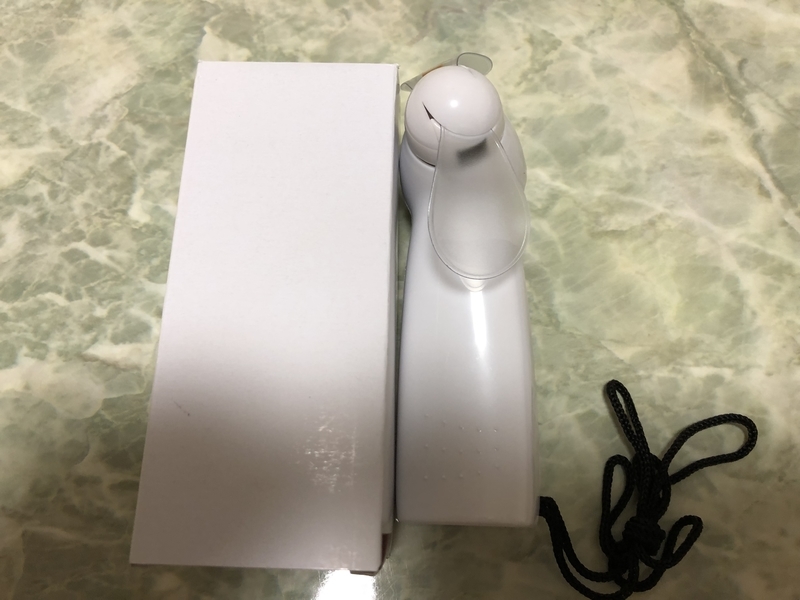f:id:dachikusakun:20190601230500j:plain