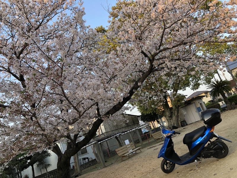 f:id:dachikusakun:20200411001218j:plain f:id:dachikusakun:20200411001218j:plain