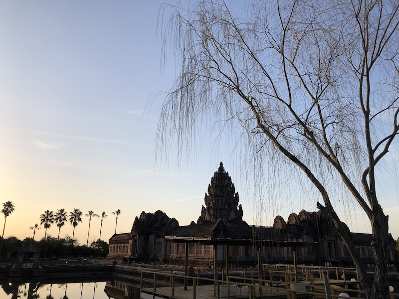 f:id:dachikusakun:20200526193526j:plain