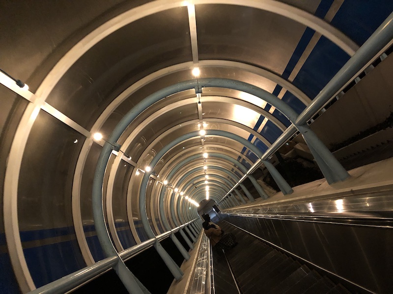 f:id:dachikusakun:20200526194540j:plain f:id:dachikusakun:20200526194540j:plain