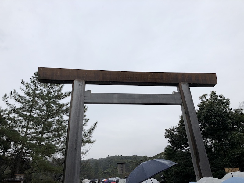 f:id:dachikusakun:20200526204204j:plain