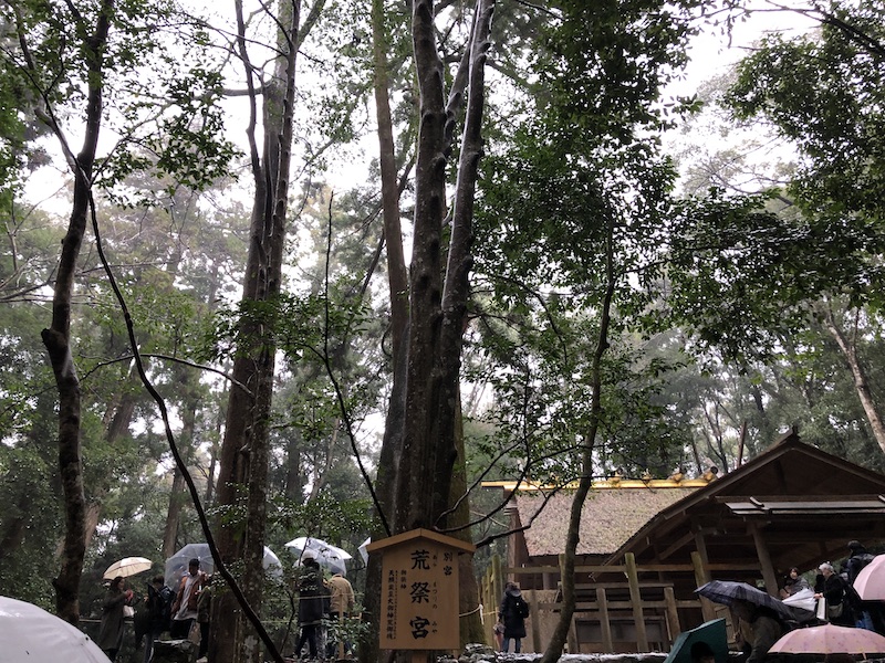 f:id:dachikusakun:20200526204321j:plain