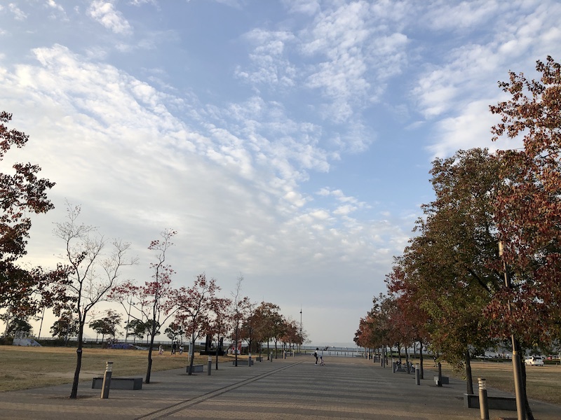 f:id:dachikusakun:20200528193135j:plain f:id:dachikusakun:20200528193135j:plain