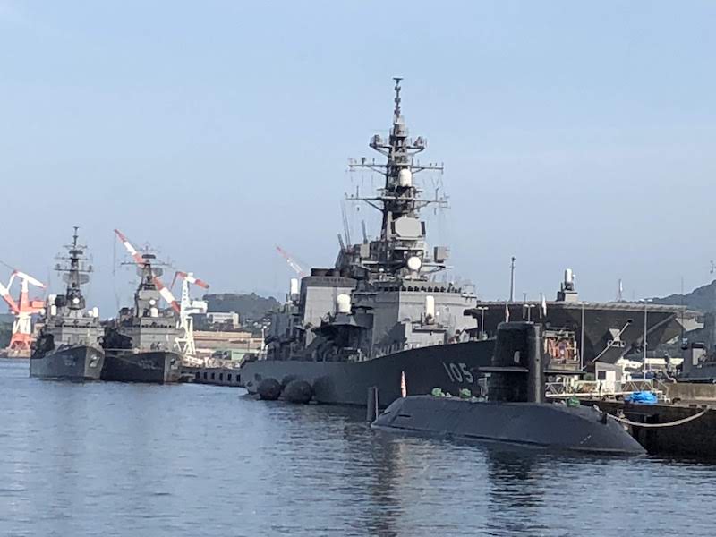 f:id:dachikusakun:20200529002950j:plain