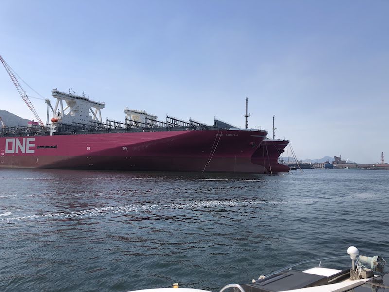 f:id:dachikusakun:20200529003241j:plain