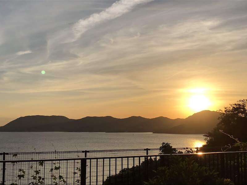 f:id:dachikusakun:20200529004038j:plain