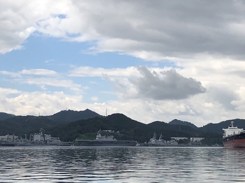 f:id:dachikusakun:20200529190056j:plain f:id:dachikusakun:20200529190056j:plain