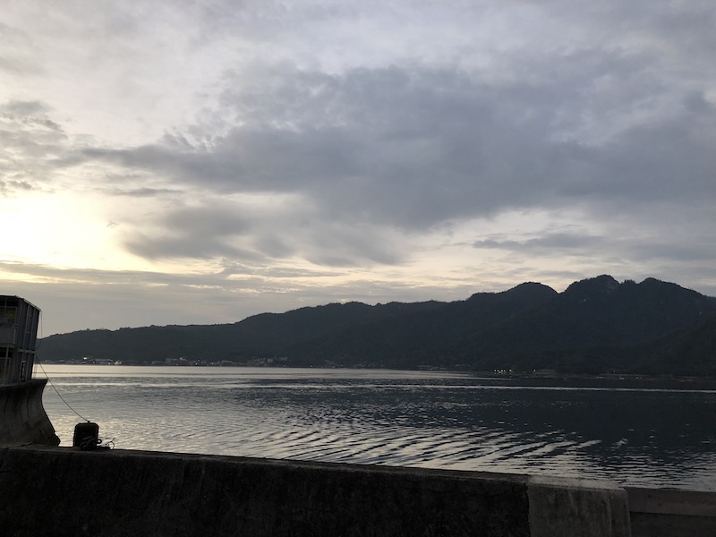 f:id:dachikusakun:20200529191750j:plain f:id:dachikusakun:20200529191750j:plain