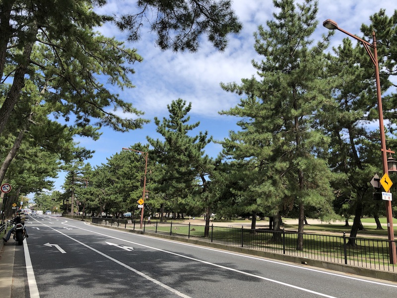 f:id:dachikusakun:20200529202341j:plain