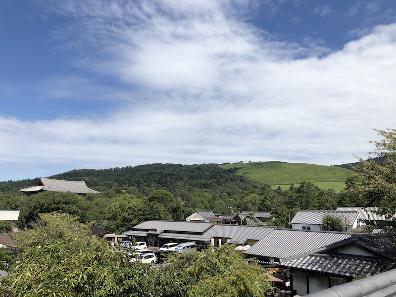 f:id:dachikusakun:20200529202531j:plain