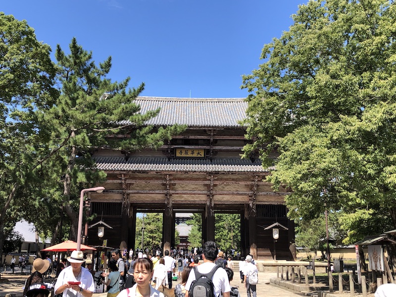 f:id:dachikusakun:20200529202621j:plain