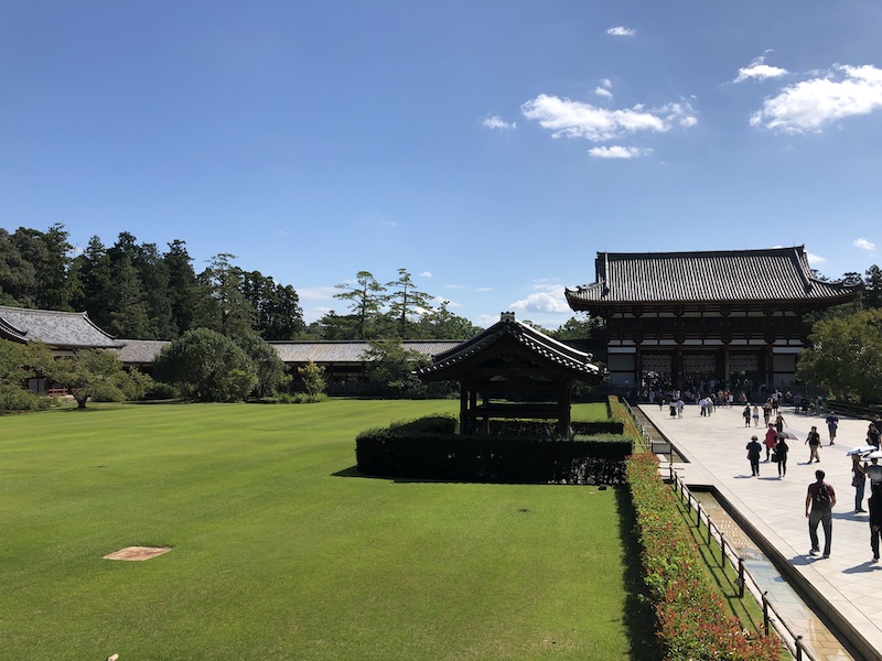 f:id:dachikusakun:20200529202829j:plain