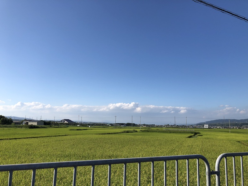 f:id:dachikusakun:20200529203015j:plain