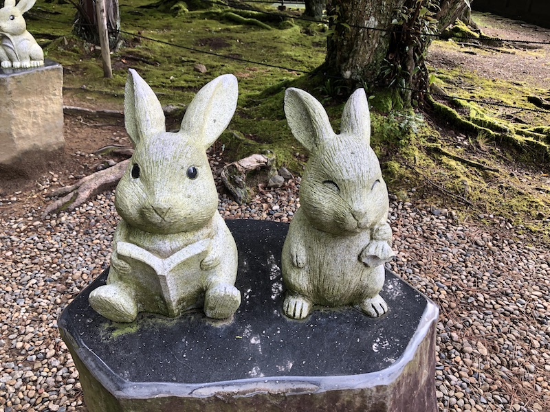 f:id:dachikusakun:20200529235610j:plain f:id:dachikusakun:20200529235610j:plain