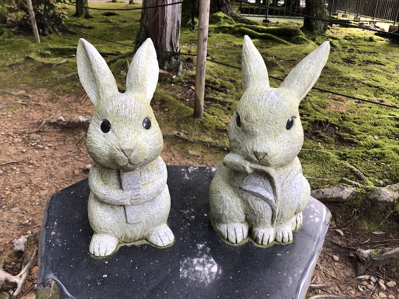 f:id:dachikusakun:20200529235614j:plain f:id:dachikusakun:20200529235614j:plain