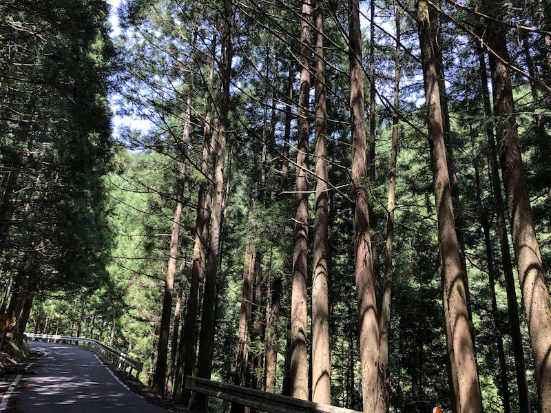 f:id:dachikusakun:20200531132251j:plain