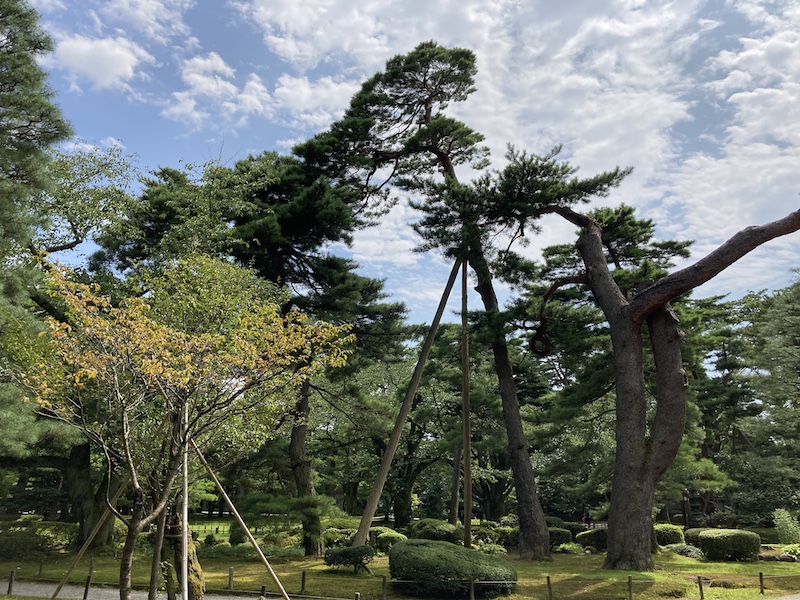 f:id:dachikusakun:20200810121809j:plain f:id:dachikusakun:20200810121809j:plain