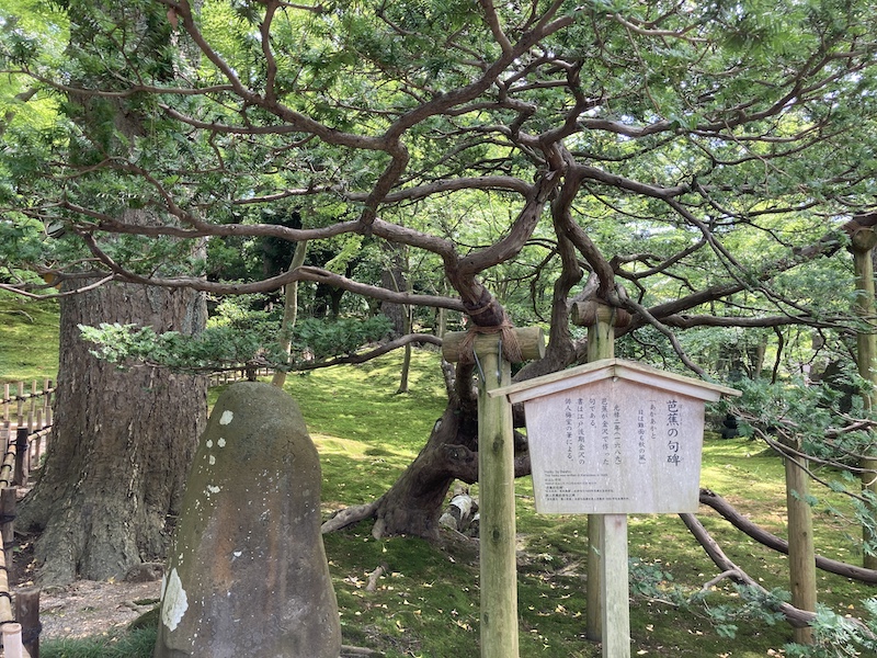 f:id:dachikusakun:20200810121822j:plain f:id:dachikusakun:20200810121822j:plain