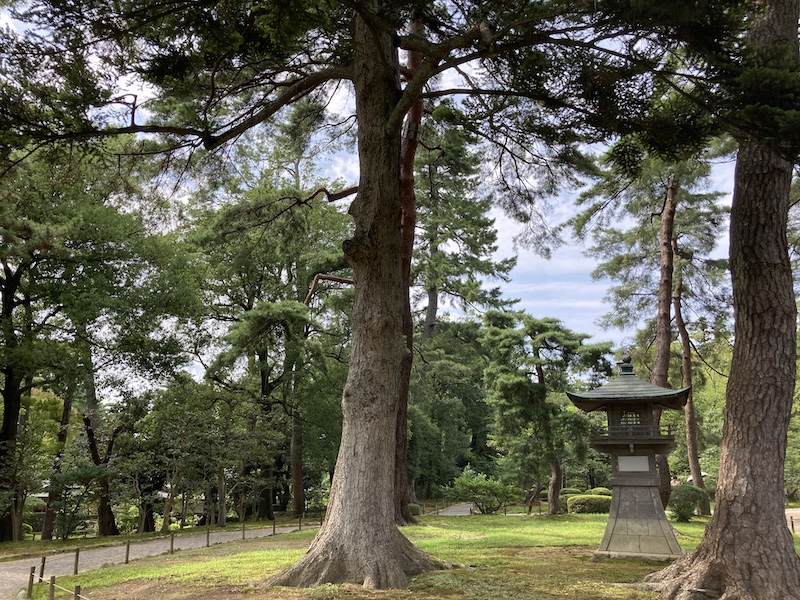 f:id:dachikusakun:20200810121854j:plain f:id:dachikusakun:20200810121854j:plain